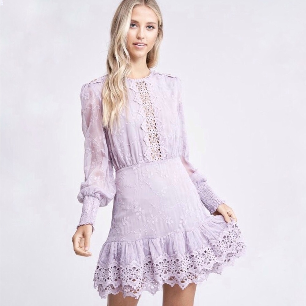 NWT Bitsy Stoneking Lavender Embroidered Dress